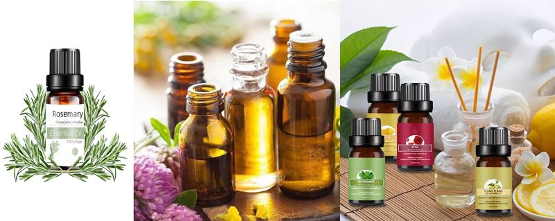 rosemary oil1