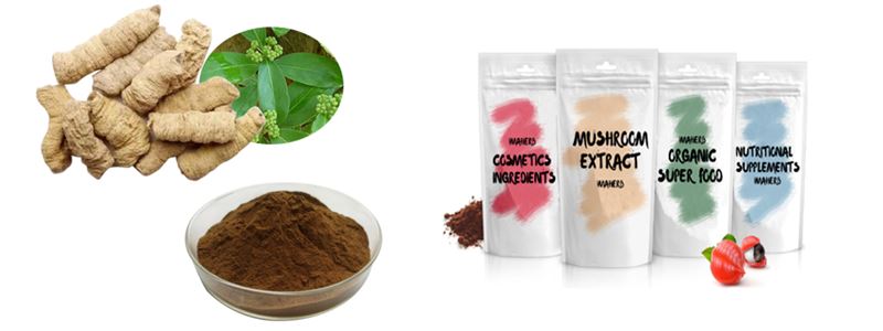 Morinda Officinalis extract powder1