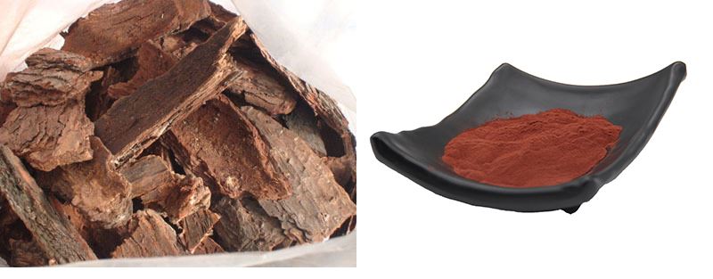 pine-bark-extract-powder introduction