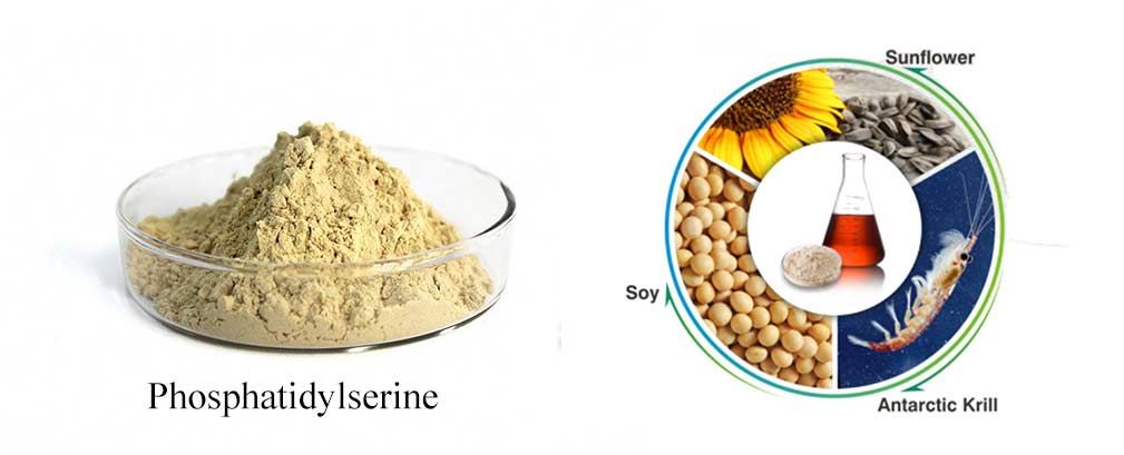 Phosphatidylserine powder