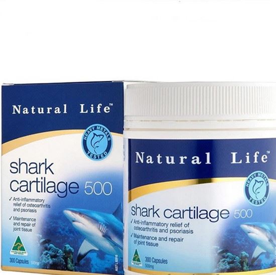 Shark chondroitin