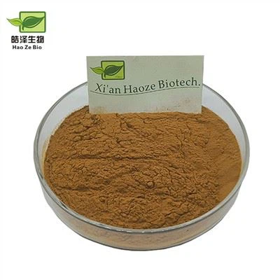 Verbena extraktpulver