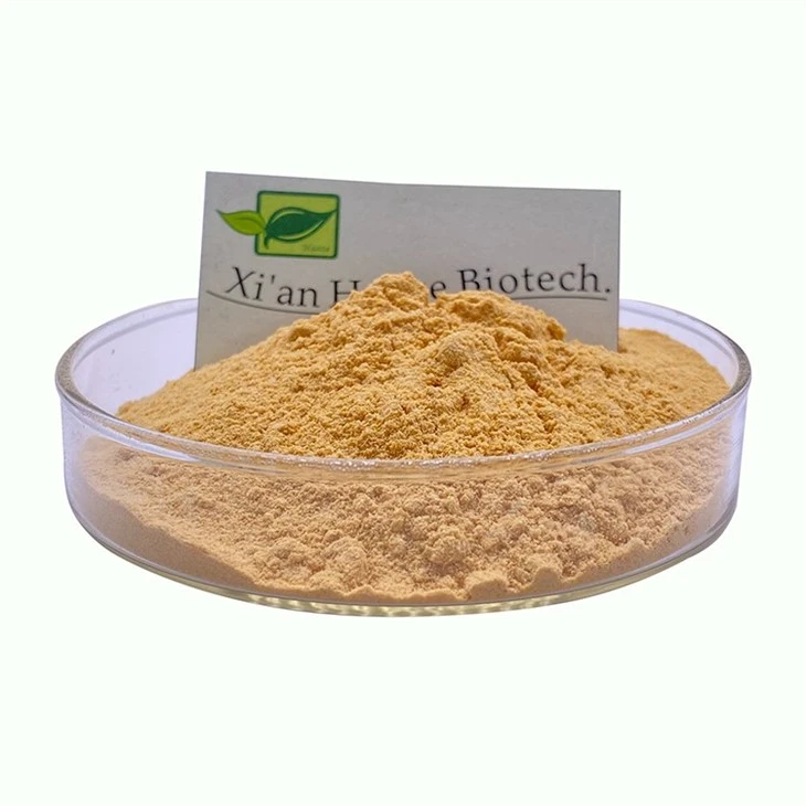 Sophora Japonica Extract
