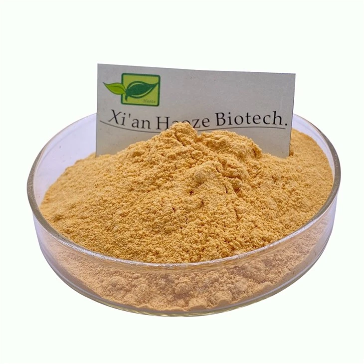 Sophora Japonica Extract