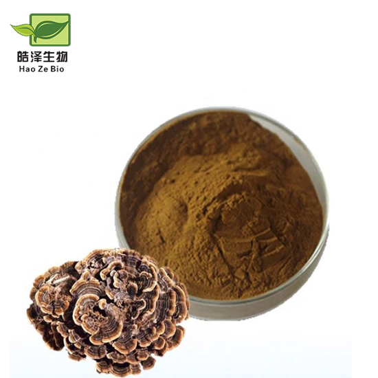 Kalkonstjärtsvamppulver