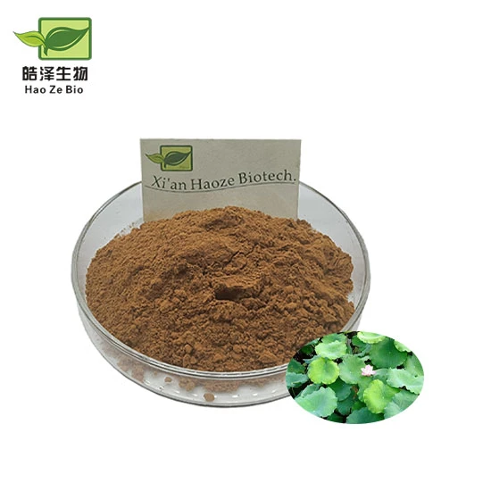 Lotus Leaf Extract