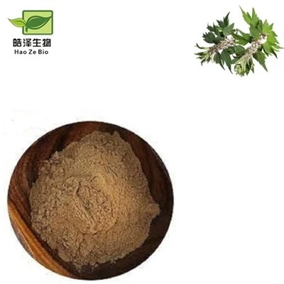 Motherwort Extrakt Pulver